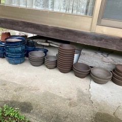 植木鉢　譲ります