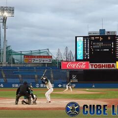 【レアバイト】⚾野球大会の運営スタッフ募集中⚾の画像