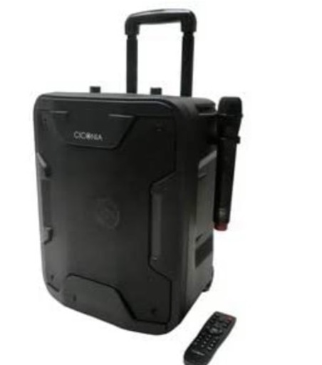 路上ライブや大型キャンプなどで使えるスピーカー