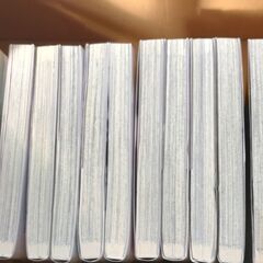 吸血鬼すぐ死ぬ1巻〜13巻　セットの画像