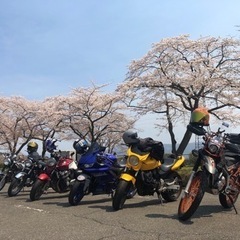 大自然ツーリング🌲山道や田舎道をとことこ探索しましょ〜！ツーリング仲間募集✨️ - 板橋区