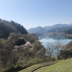 大自然ツーリング🌲山道や田舎道をとことこ探索しましょ〜！ツーリング仲間募集✨️ - その他