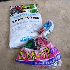 セントポーリア用土