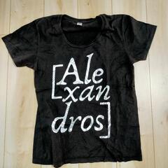 フェス/アーティストTシャツ5枚(used)
