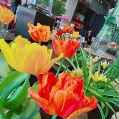カフェしませんか𖠚ᐝ