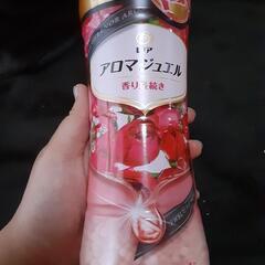 レノア 🤩ジュエル 