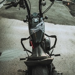 ハーレーフォーティーエイト　x48 xl1200x  車検たっぷりカスタム多数の画像