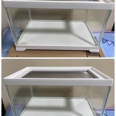 【※決まりました※】使用半月 GEX レプテリアホワイト300L...