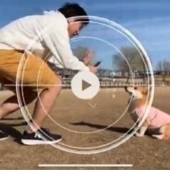 心に残る動画作成　動画編集！ - 横浜市