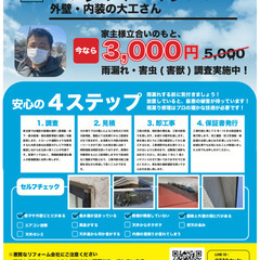 雨漏り・害虫駆除〜まちの大工さん〜