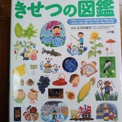きせつの図鑑　小学館　中古