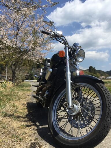 検付！希少！STEED600ノーマル・日本製本格アメリカンの記念碑的マシン！４速を楽しむ