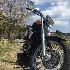 検付！希少！STEED600ノーマル・日本製本格アメリカンの記念碑的マシン！４速を楽しむの画像
