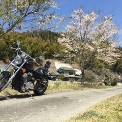検付！希少！STEED600ノーマル・日本製本格アメリカンの記念碑的マシン！４速を楽しむの画像