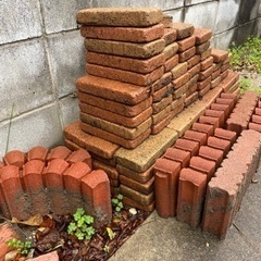 レンガ　はんぺん型　庭　花壇　ガーデニングの画像