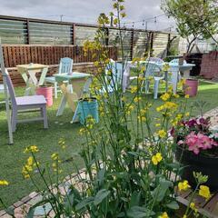 Garden Cafe　ガーデンカフェ　いすみ市