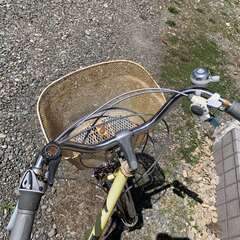 ３輪自転車の画像