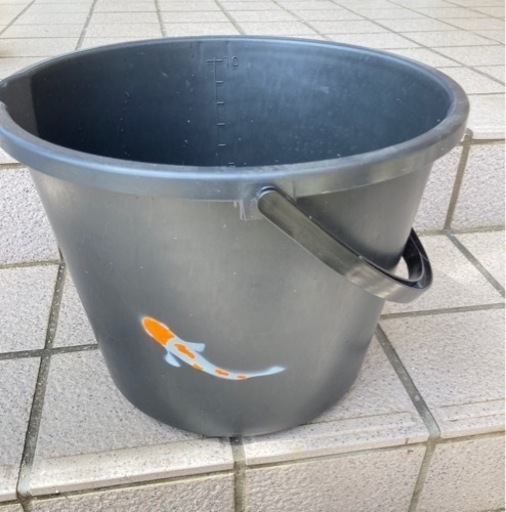 紅白飼育セット。