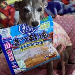 本日は沢山のご来場ありがとうございました😄ceo真凛😄