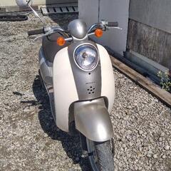 原付　スクーター　スクーピー　女の子
