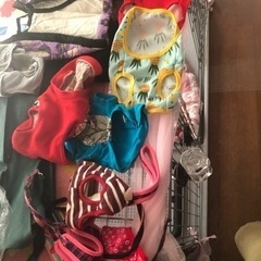 犬服、リッチェルベッド、ハーネス中古色々一式 断捨離品一式お渡し予定の方決まりましたの画像