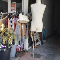 レディース　トルソ　パンツも履ける