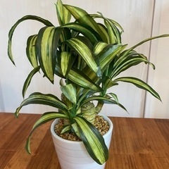 フェイクグリーン 造花 観葉植物