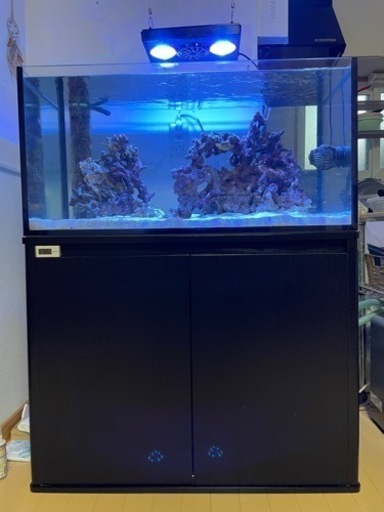 バラ売り　90cmオーバーフロー水槽3点セットその他　サンゴ　海水魚