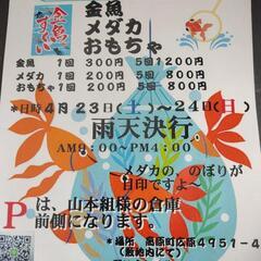 イベント🎪開催