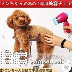 ペット用の美容椅子　SAMSON SALON