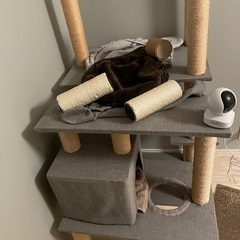 キャットタワーの画像