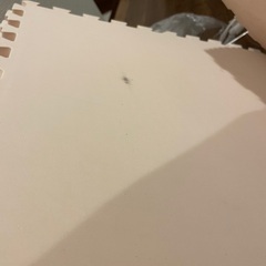 ジョイントマット大判2cm 11枚　タンスのゲンの画像