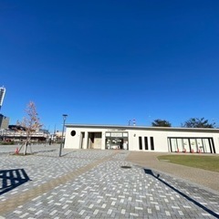 5月⭐︎朝ヨガスケジュール⭐︎