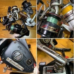 レアー5点まとめの画像