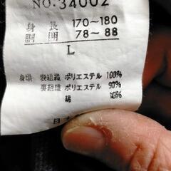 体育着 ハーフパンツの画像