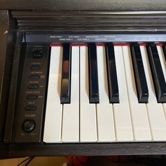 売約済ですの画像