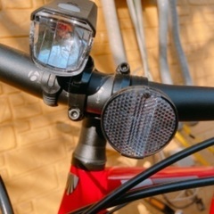 ロードバイク　TRECK 赤🚴‍♀️の画像