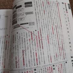お取引中　新品　美品　いいずな書店　大学入学　共通テスト演習　現代文　オリジナル20問の画像
