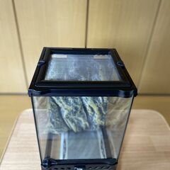 飼育ゲージ爬虫類などの画像
