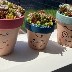 多肉植物寄せ植え🌵親子🌵🌵