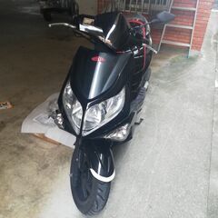 値引きしました!!!　PGO G-MAX125の画像