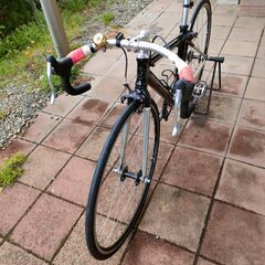 シングルスピード GIANT BOWERYの画像