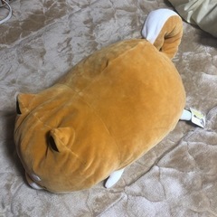 可愛い❣️たるしば もちもち寝そべりBIGぬいぐるみの画像