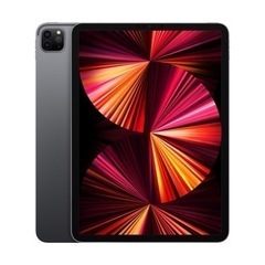 iPad pro /第三世代/Applepencil付き