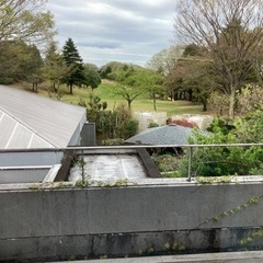 ゴルフ仲間募集