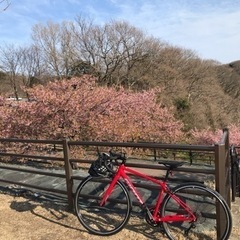 ロードバイクデビューしてみたい方募集！