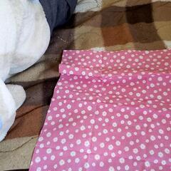 はぎれ2枚セット