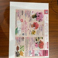 Canon キャノン PIXUS MG3630 WH（ホワイト）の画像