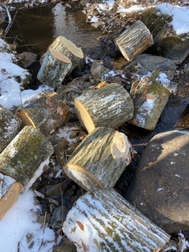 広葉樹ミックス　薪　送料込みで20000円