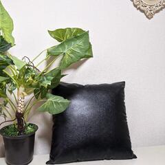 お安く致しました！クッション＆カバーセットの画像